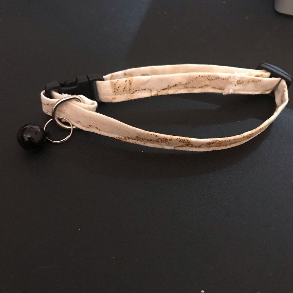 Custom Small Collar